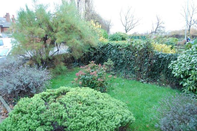 Photo 6