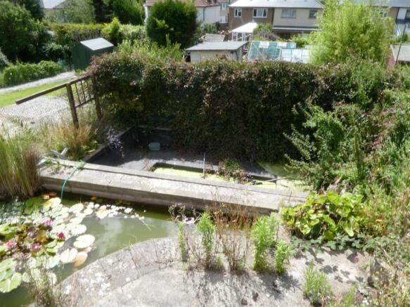 garden1.JPG