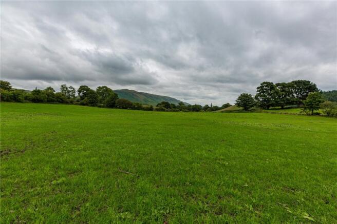 Field