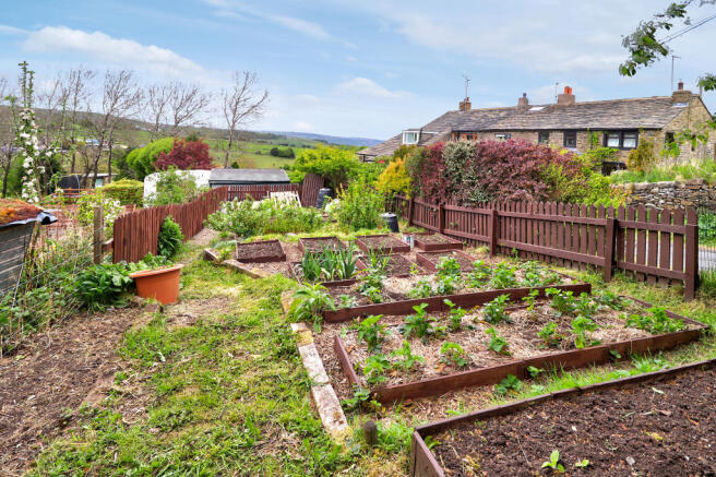 Vegetable-Patch