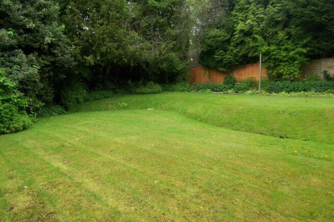 Photo 23