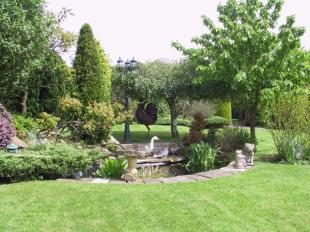 Pond