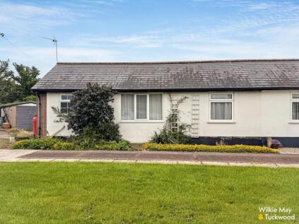 Doniford Meadow, Watchet
