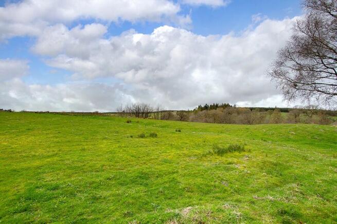 Pastureland