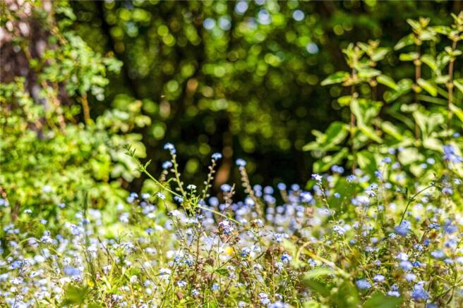 Flowerbeds