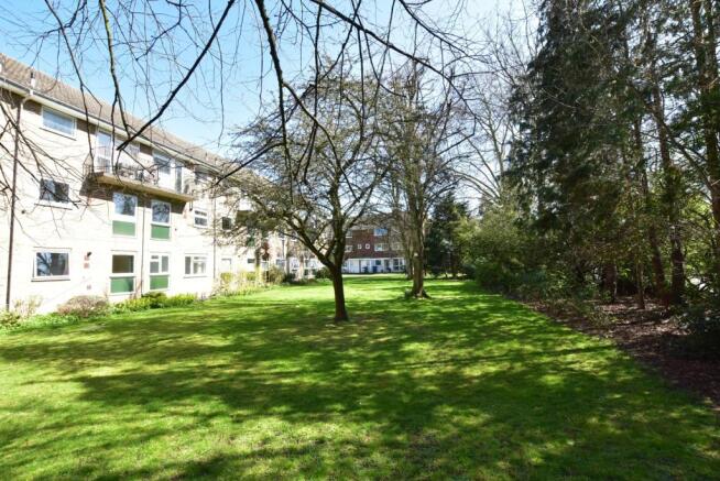 communal gardens ...