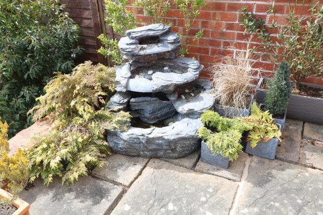 Photo 24