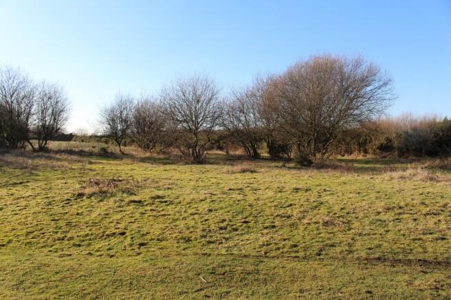 Local Walks on Fo...