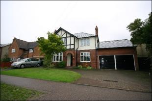 Front Aspect