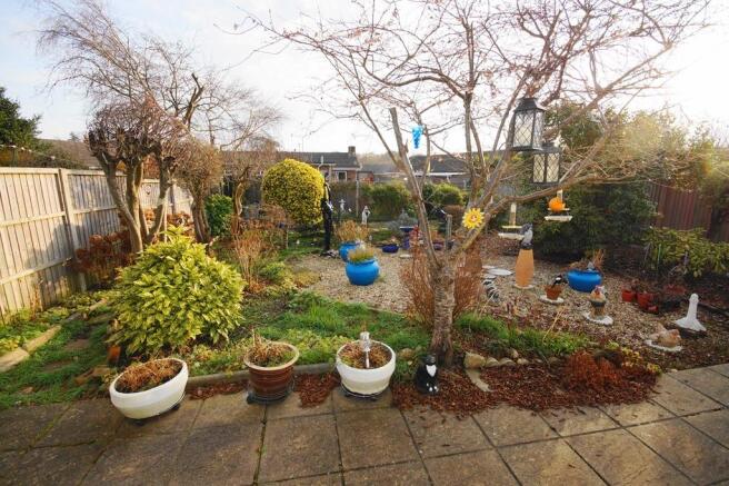 Sunny Garden