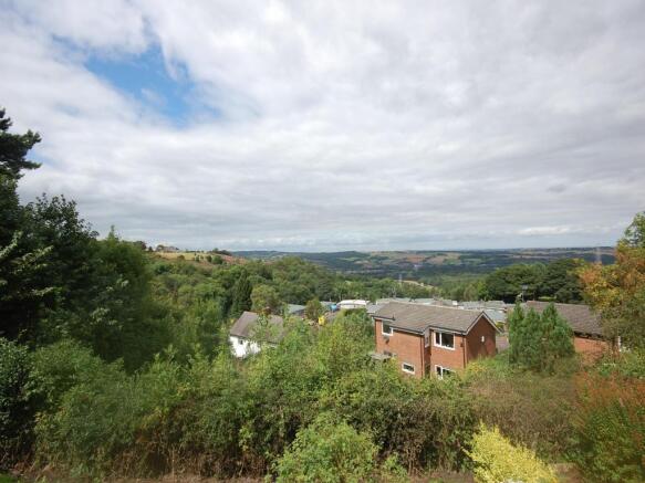 Image 15