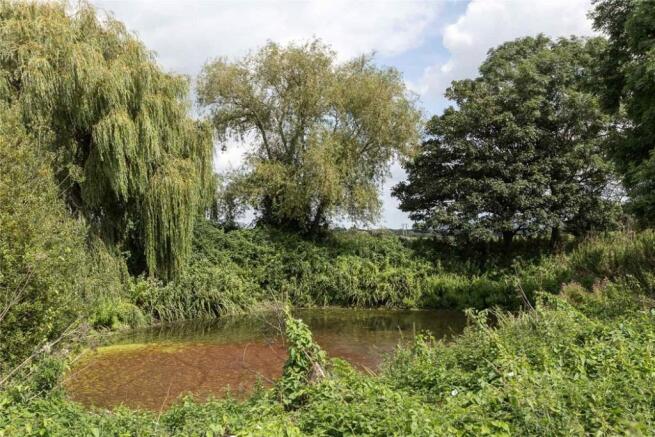 Pond