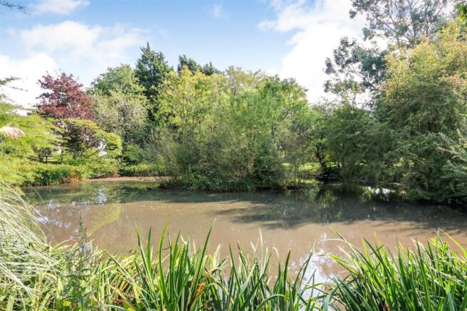 Pond