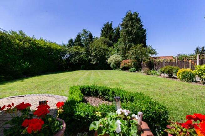 Main Page