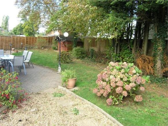 Photo 11