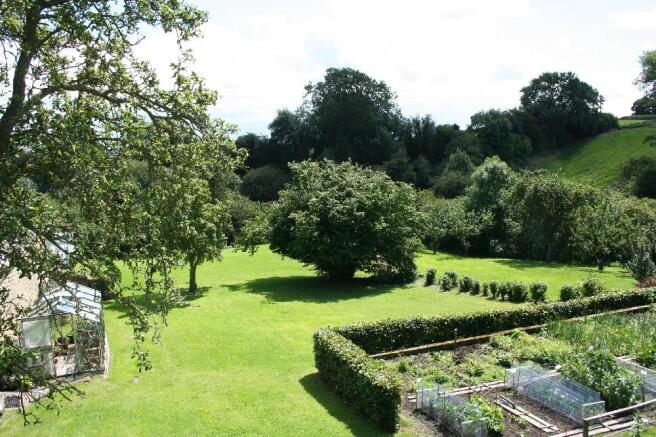 Orchard