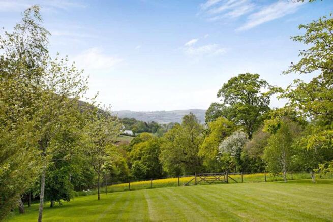 Views and Paddock