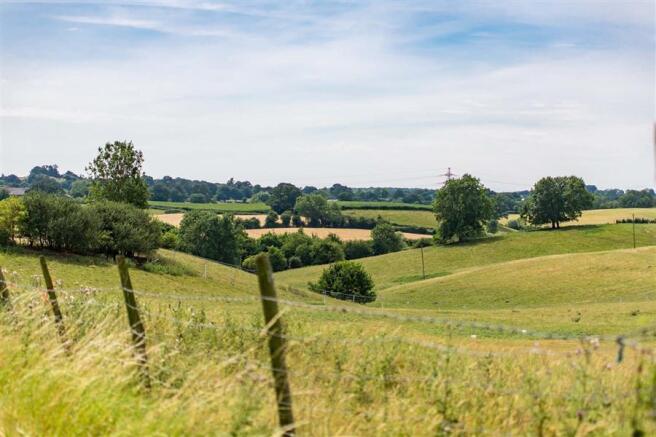 Field view powick.jpg