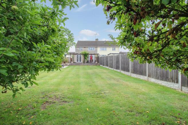 Garden at Back