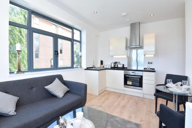 Kitchen / Living Area