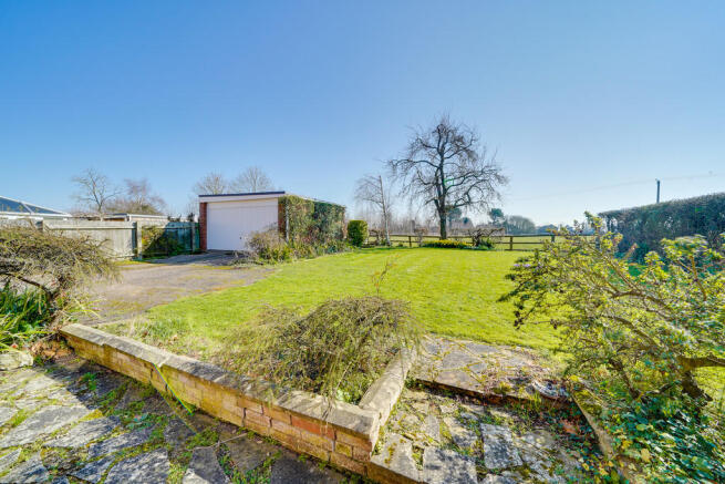 Back Garden