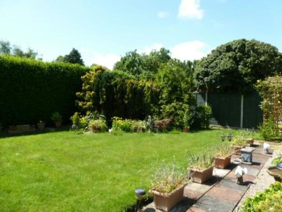 Garden 2