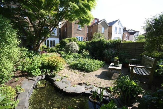 Garden shot 3