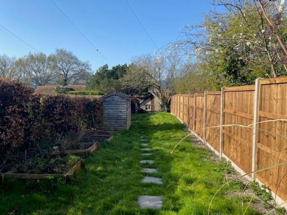 garden 2.jpg