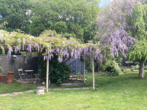garden 12