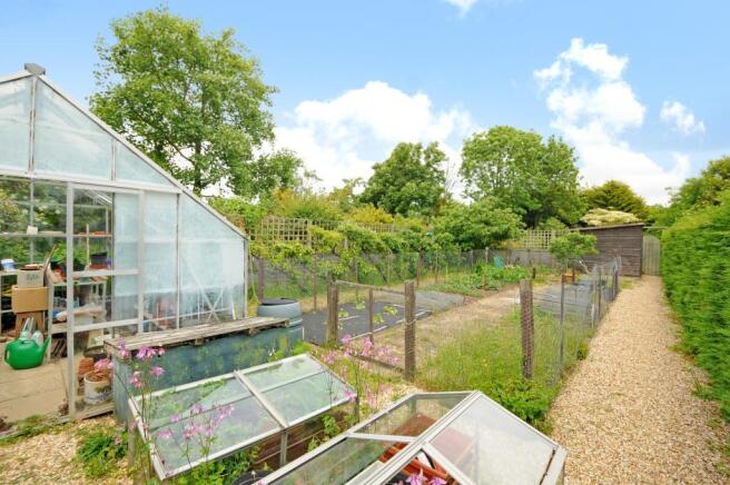 Vegetable Plot