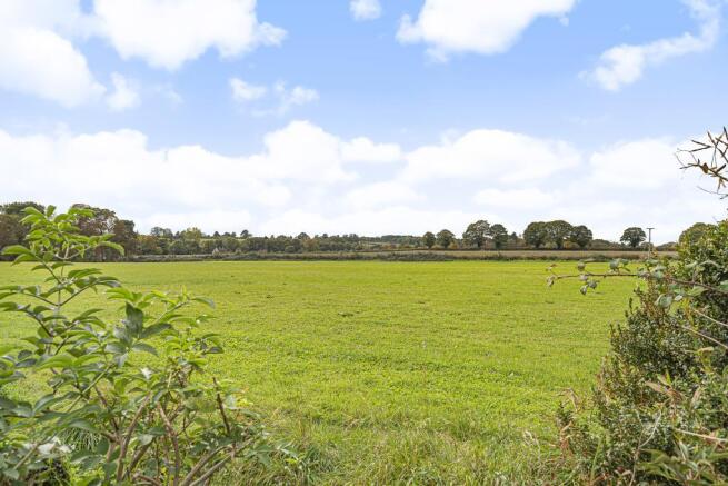 Countryside Views
