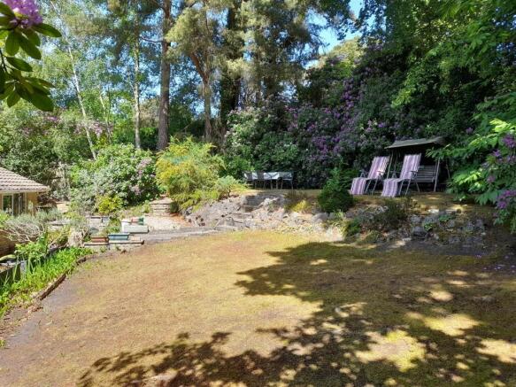 garden 2.jpg