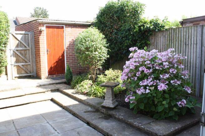 Photo 11