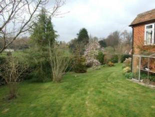 Side Garden