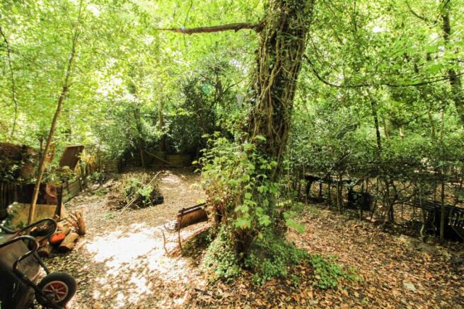 Woodland