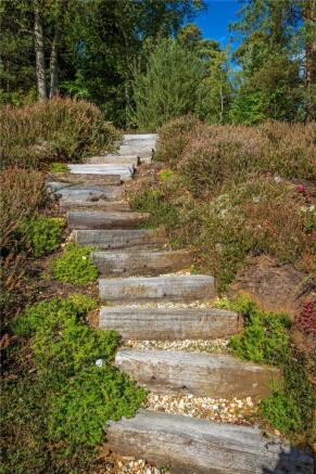 Steps To Woodland