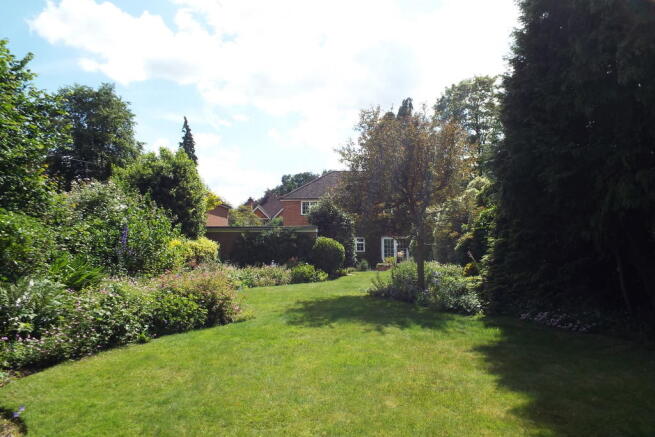 Photo 4