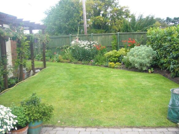 garden 1