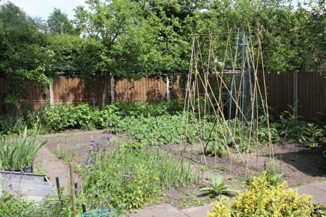 Vegetable garden