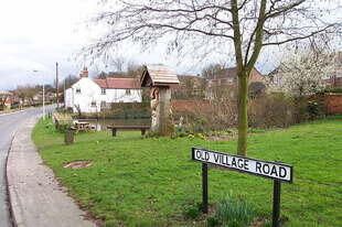 View Of Village