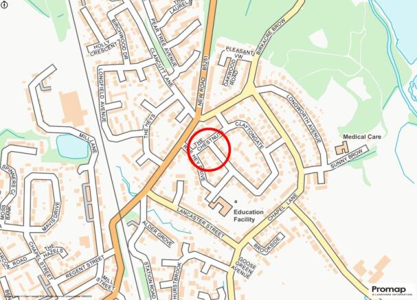Local Map