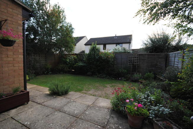 Photo 11