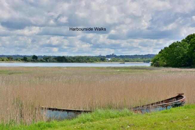 Harbourside walks