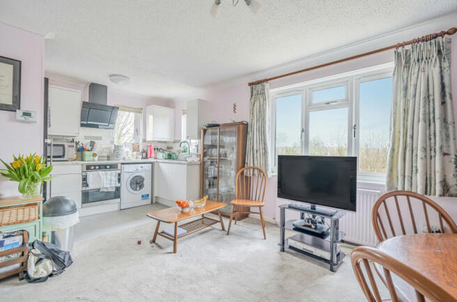 Living Area/Kitchen