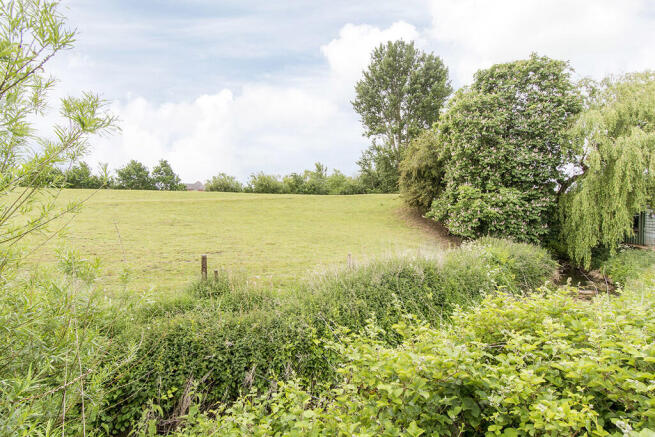 Countryside Views
