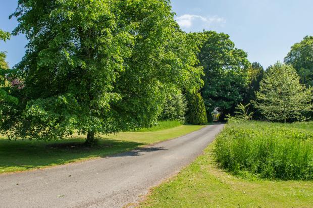 Driveway