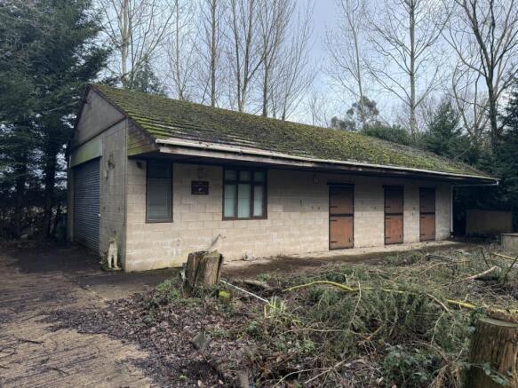 IMG 0746 T202602171657.jpeg