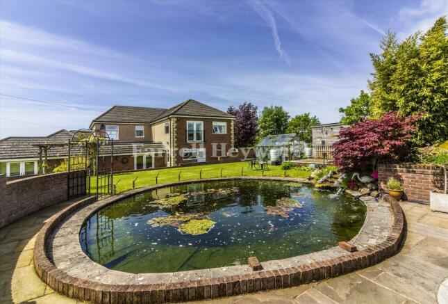 Pond