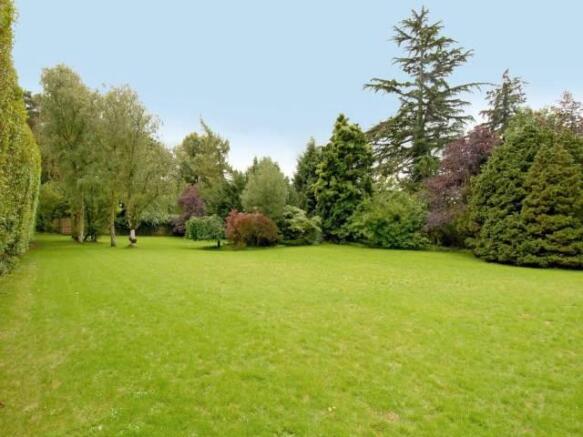 Rear Gardens