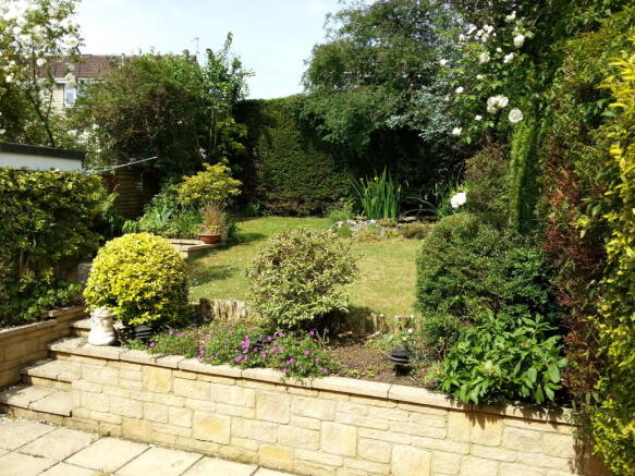 Photo 11